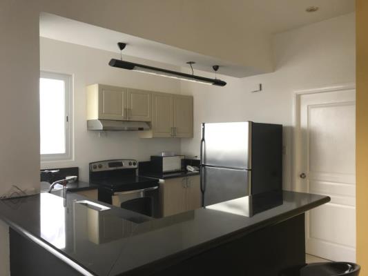 , Apartamento en alquiler en Avenida Balboa | P2085706