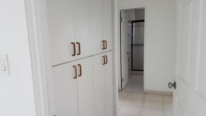 Arrecife, Apartamento en alquiler en Punta Paitilla | Arrecife -  P2086588