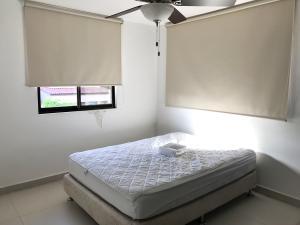 , Casa en alquiler en Veracruz | P2089766