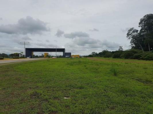 , Terreno en alquiler en Tocumen | P2098572