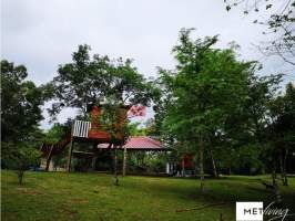 Nuevo Emperador Arraiján