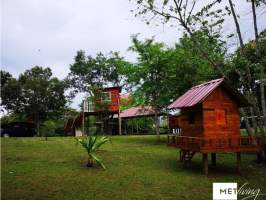 Nuevo Emperador Arraiján