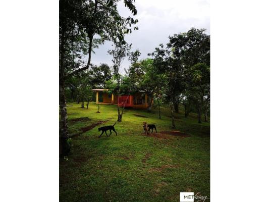 , Terreno en venta en Nuevo Emperador | P2112691