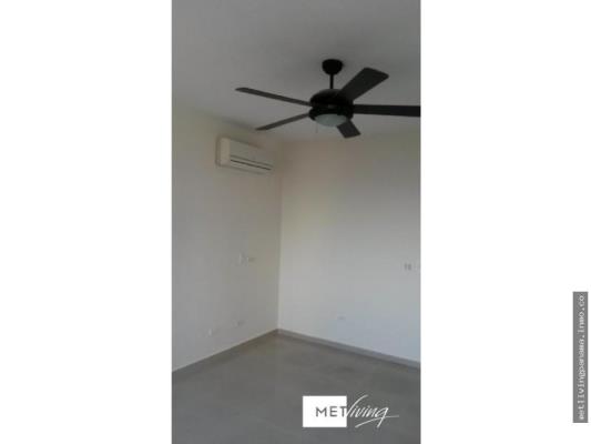 , Área Metropolitana