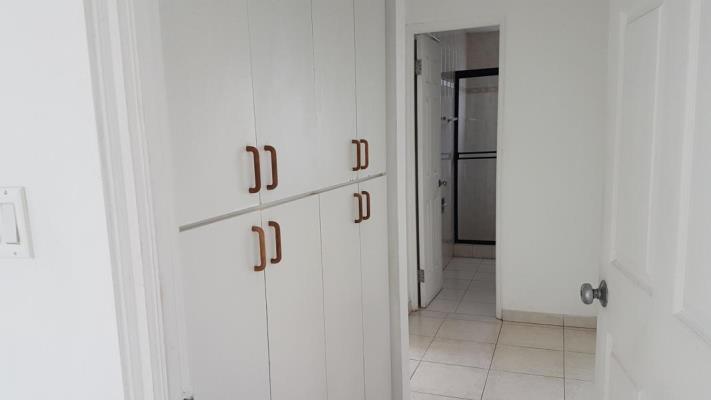 , Apartamento en alquiler en Punta Paitilla | P2121119