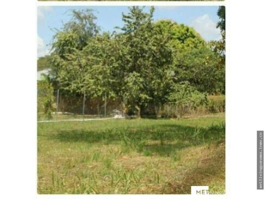 , Terreno en venta en San Carlos | P2125858