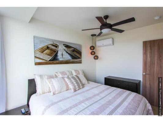 Royal Palms, Nueva Gorgona