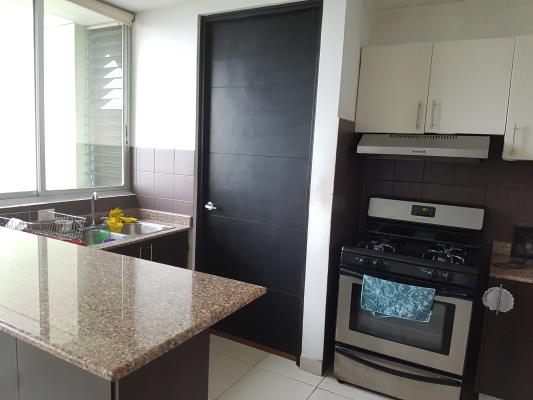 Green Bay, Costa del Este