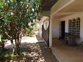 Ruben Cantu Santa Fe