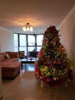 Lexus Tower San Francisco, Panamá