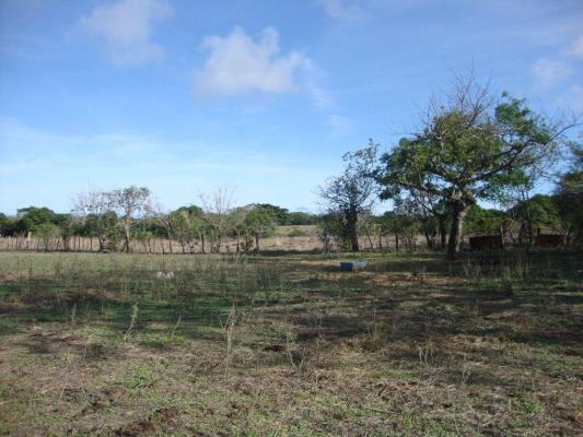 , Terreno en venta en Pedasí | P2132907