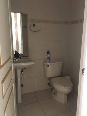 , Área Metropolitana