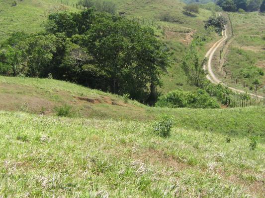 , Terreno en alquiler en Oria Arriba | P2140110