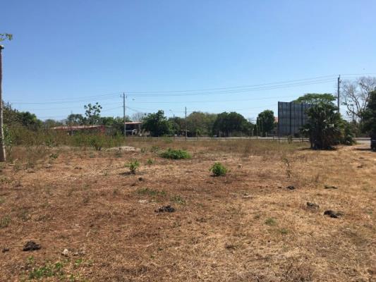 , Terreno en venta en Las Tablas | P2140334