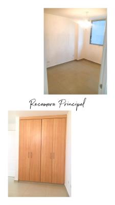 Green Point, Área Metropolitana