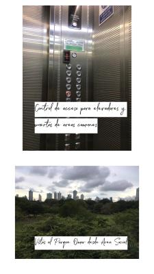 Green Point, Parque Lefevre