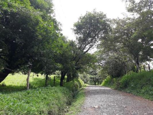 , Terreno en venta en Jaramillo | P2147271