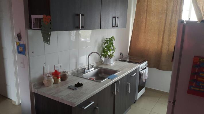 MYSTIC HILLS, Apartamento en venta en Rufina Alfaro | MYSTIC HILLS -  P2148895