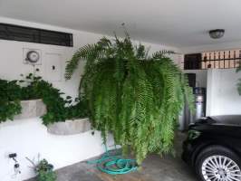 Pueblo Nuevo Panamá