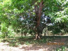 Las Lajas San Félix