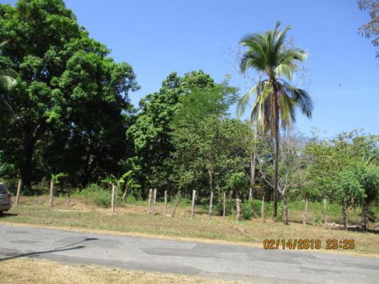 , Terreno en alquiler en Las Lajas | P2151345