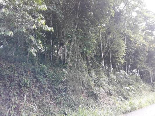 , Barú