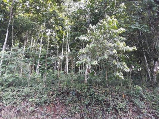 , Terreno en venta en Progreso | P2157771