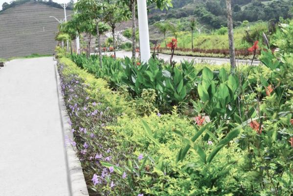 , Terreno en alquiler en Ernesto Cordoba Campos | P2161719