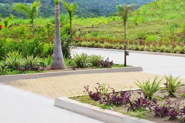 , Ernesto Cordoba Campos