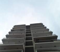 ymal