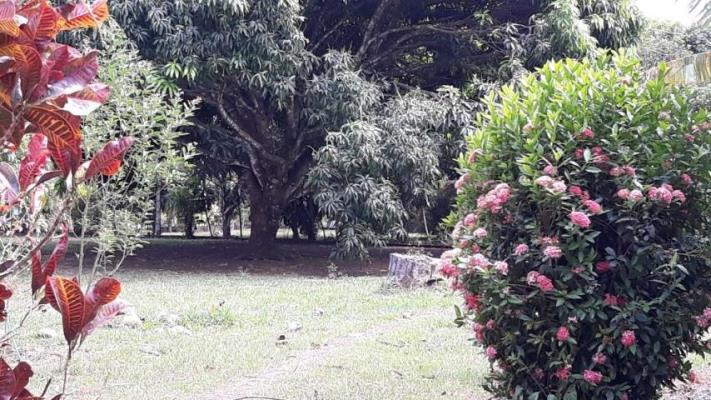 , Casa en venta en David | P2167487