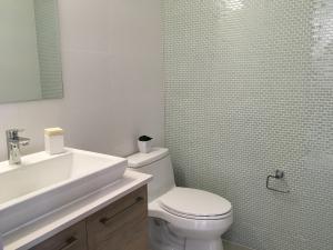 , Amelia Denis De Icaza