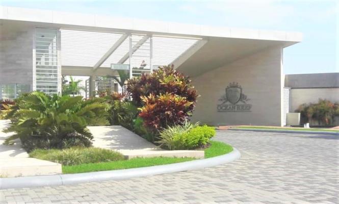 , Área Metropolitana