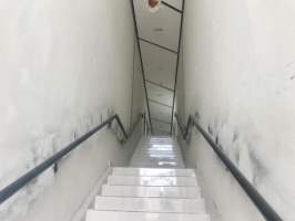 San Francisco Panamá