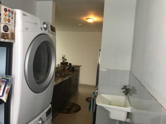 , Área Metropolitana