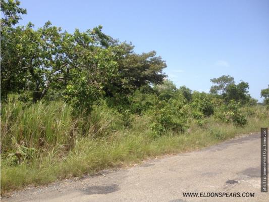 , Terreno en venta en Nueva Gorgona | P2009462