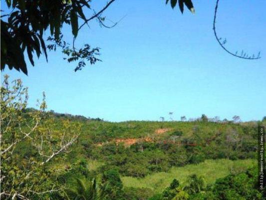 , Terreno en alquiler en Pedregal | P2010309