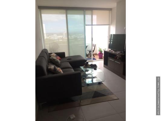 , Área Metropolitana