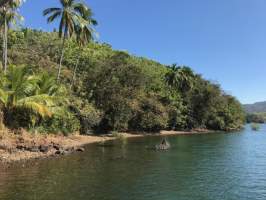 Quebrada de Piedra Tolé