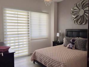 , Apartamento en venta en Ancón | P2201332