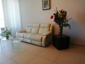 , Área Metropolitana