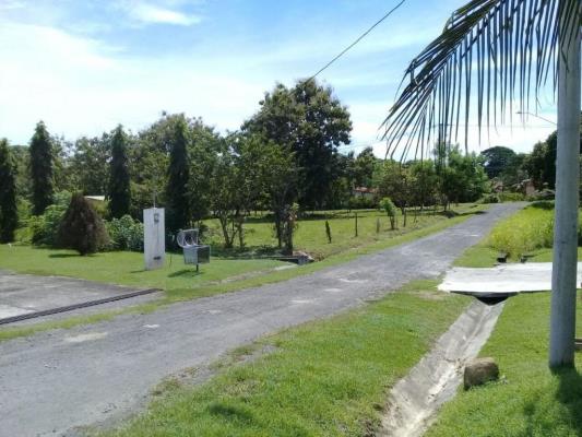 , Terreno en venta en Las Lajas | P2212756