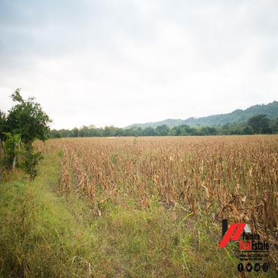 , Terreno en venta en Panamá Pacífico | P2216277