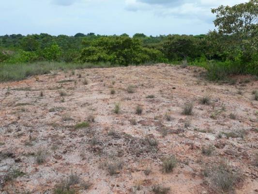 , Terreno en venta en El espino | P2216382