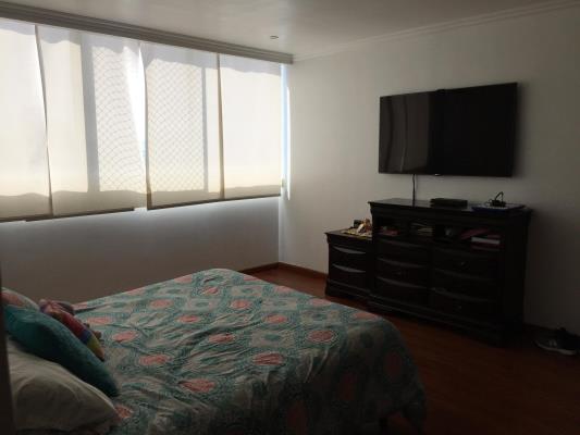 The Regent, Área Metropolitana