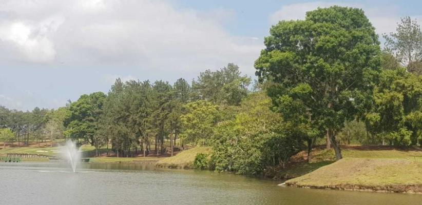 , Terreno en venta en Rufina Alfaro | P2223949