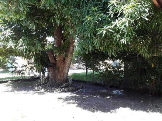 , Casa en alquiler en Nueva Gorgona | P2228107