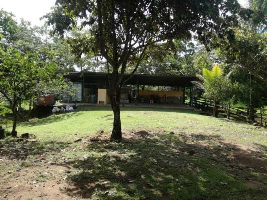 , Terreno en alquiler en Chepo | P2237256