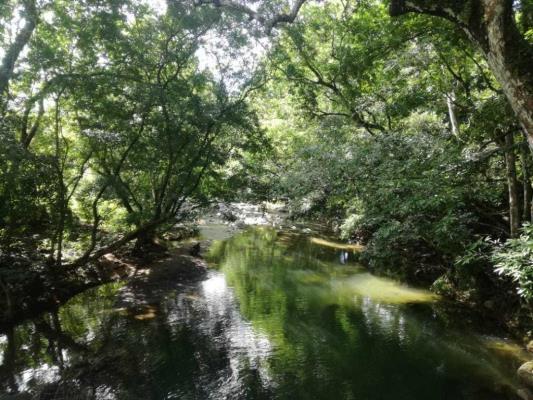 , Terreno en alquiler en Chepo | P2237256