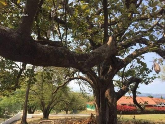 , Terreno en venta en Nueva Gorgona | P2246426